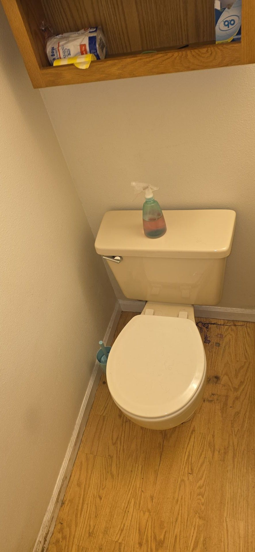 True North Cleaning Services LLC gallery photo