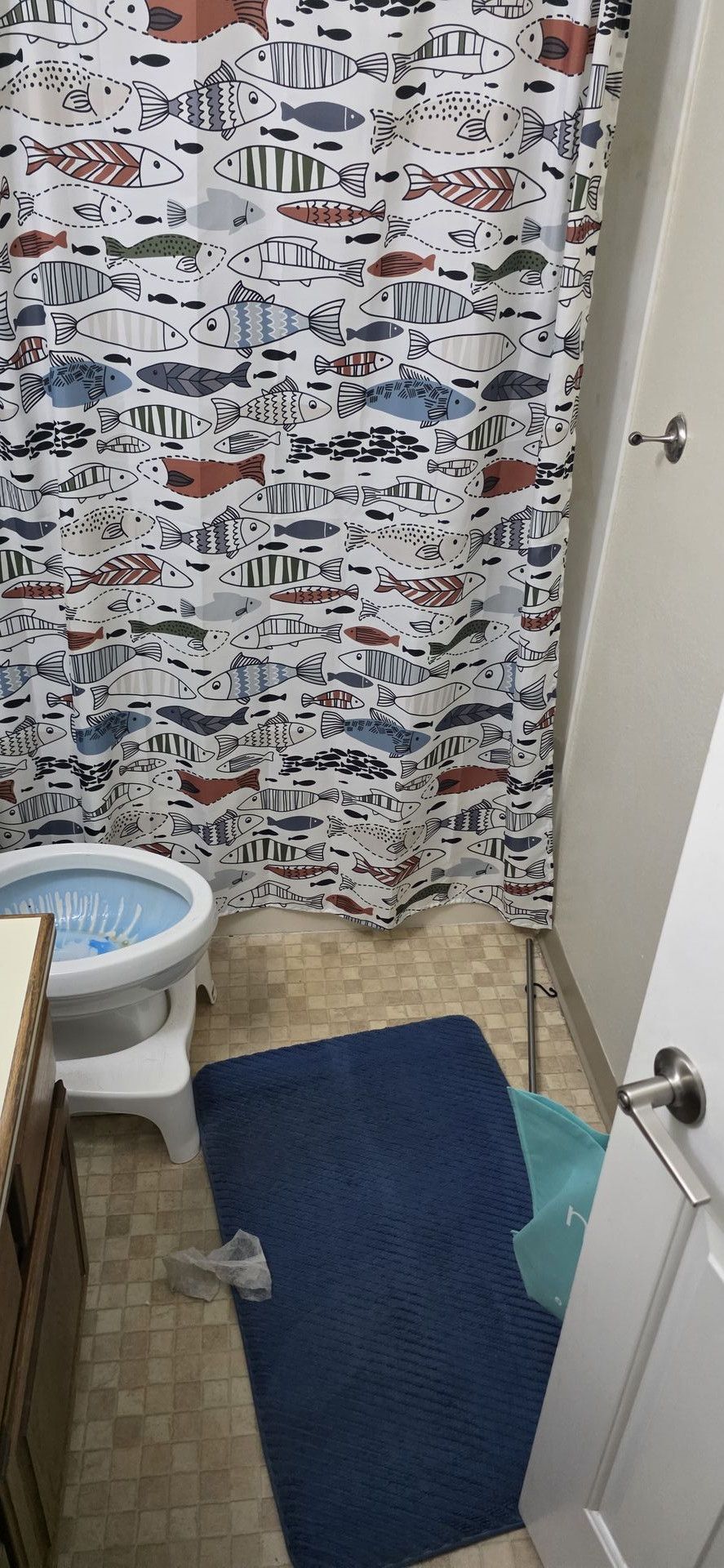 True North Cleaning Services LLC gallery photo