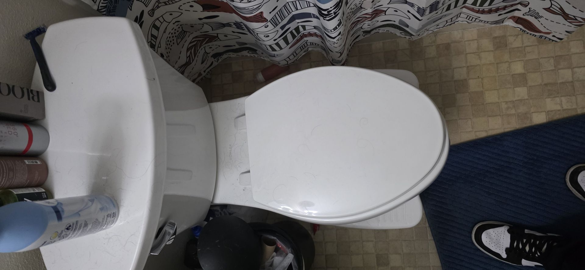 True North Cleaning Services LLC project photo